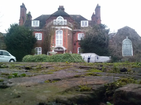 A sneek-peak under the fence 